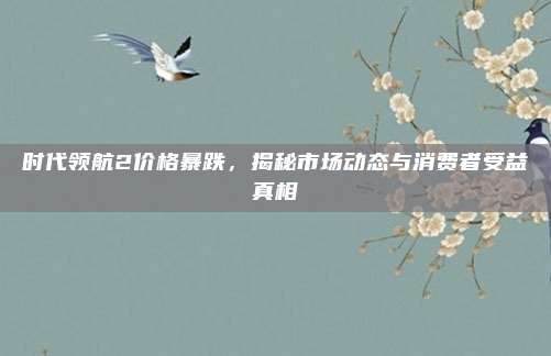 时代领航2价格暴跌,揭秘市场动态与消费者受益真相
