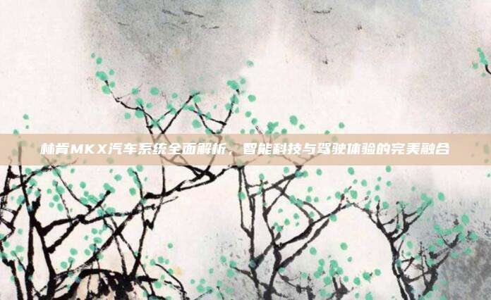 林肯MKX汽车系统全面解析,智能科技与驾驶体验的完美融合