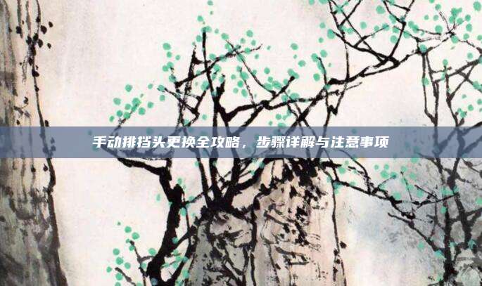 手动排挡头更换全攻略,步骤详解与注意事项