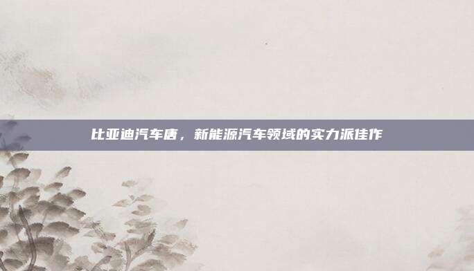 比亚迪汽车唐,新能源汽车领域的实力派佳作