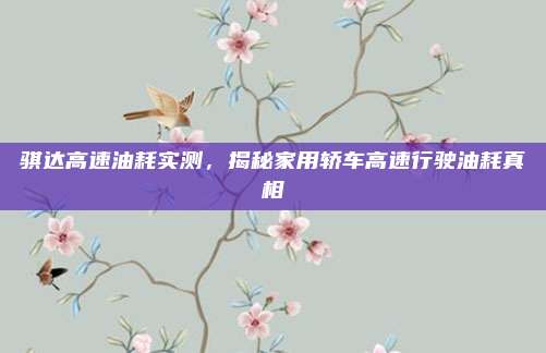 骐达高速油耗实测,揭秘家用轿车高速行驶油耗真相