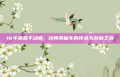 16年雨燕手动版,经典两厢车的传承与创新之旅