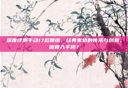 深度评测手动17款明锐,经典家轿的传承与创新,值得入手吗?