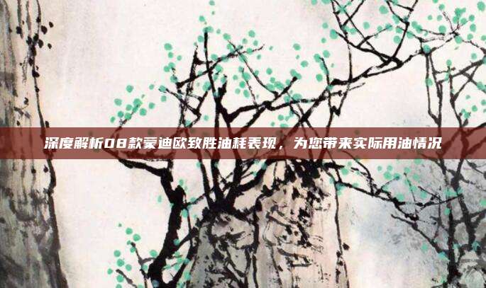 深度解析08款蒙迪欧致胜油耗表现,为您带来实际用油情况