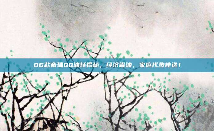 06款奇瑞QQ油耗揭秘,经济省油,家庭代步佳选!