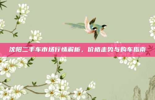 沈阳二手车市场行情解析,价格走势与购车指南