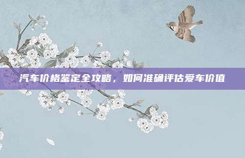 汽车价格鉴定全攻略,如何准确评估爱车价值