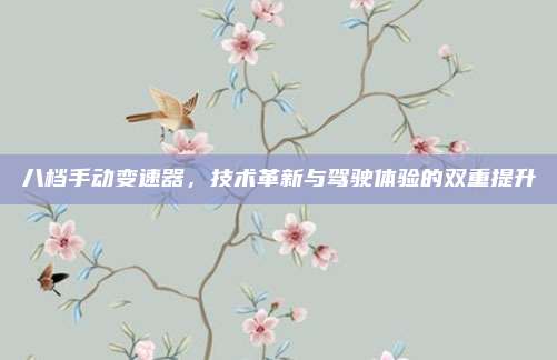 八档手动变速器,技术革新与驾驶体验的双重提升