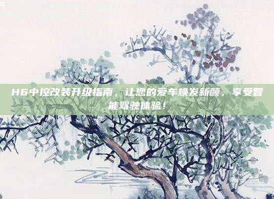 H6中控改装升级指南,让您的爱车焕发新颜,享受智能驾驶体验!