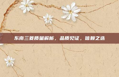 东南三菱质量解析,品质见证,信赖之选