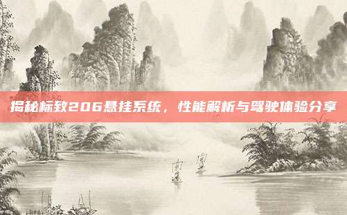 揭秘标致206悬挂系统,性能解析与驾驶体验分享