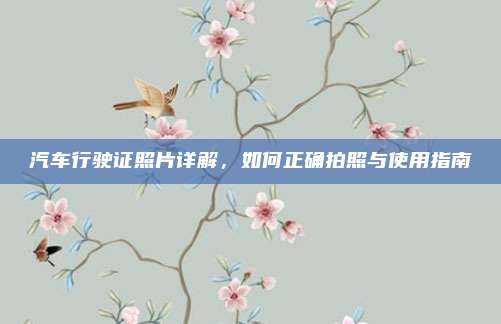 汽车行驶证照片详解,如何正确拍照与使用指南