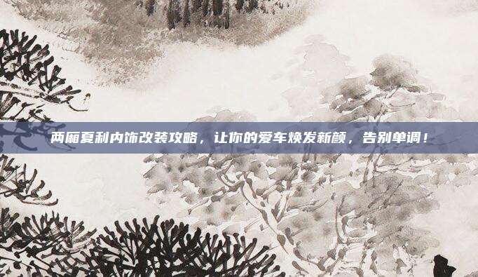 两厢夏利内饰改装攻略,让你的爱车焕发新颜,告别单调!