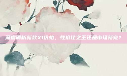 深度解析新款X1价格,性价比之王还是市场新宠?