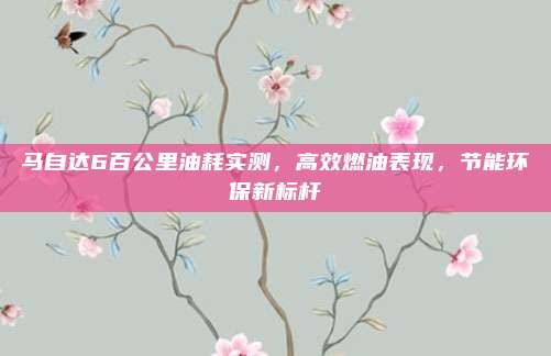 马自达6百公里油耗实测,高效燃油表现,节能环保新标杆