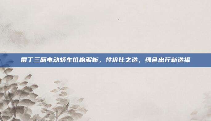雷丁三厢电动轿车价格解析,性价比之选,绿色出行新选择