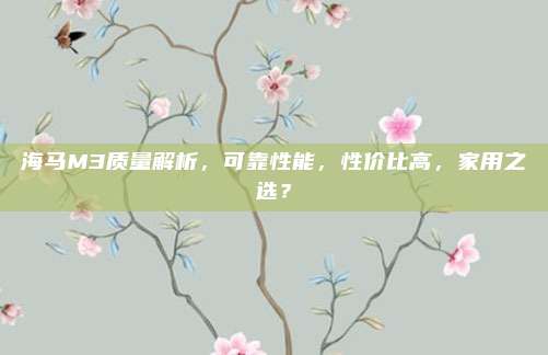 海马M3质量解析,可靠性能,性价比高,家用之选?