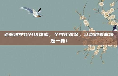 老骐达中控升级攻略,个性化改装,让你的爱车焕然一新!