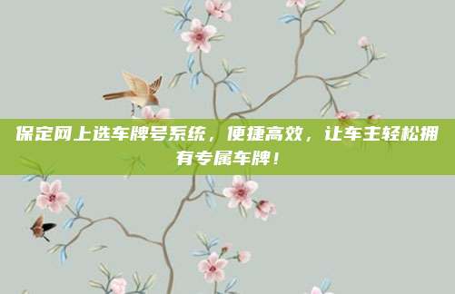 保定网上选车牌号系统,便捷高效,让车主轻松拥有专属车牌!