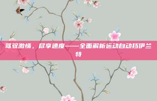 驾驭激情,尽享速度——全面解析运动自动挡伊兰特