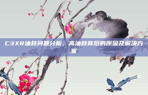 C3XR油耗问题分析,高油耗背后的原因及解决方案