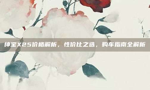 绅宝X25价格解析,性价比之选,购车指南全解析