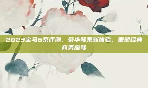 2023宝马6系评测,豪华驾乘新体验,重塑经典商务座驾