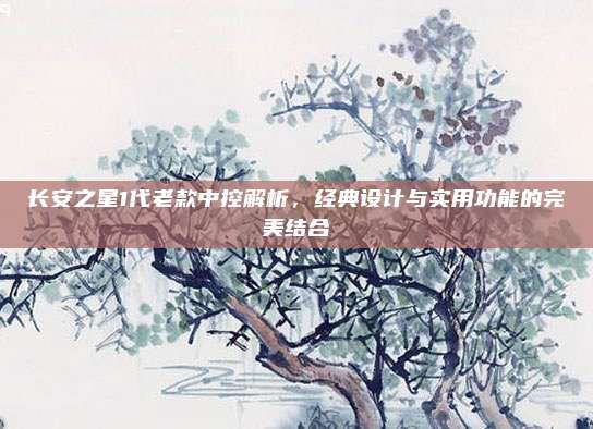 长安之星1代老款中控解析，经典设计与实用功能的完美结合