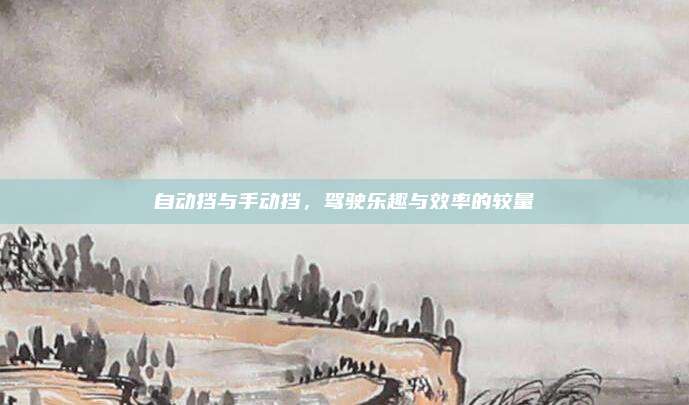 自动挡与手动挡,驾驶乐趣与效率的较量
