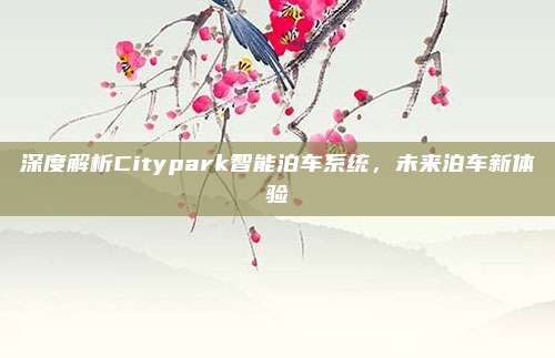 深度解析Citypark智能泊车系统,未来泊车新体验