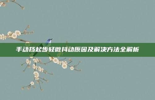 手动挡起步轻微抖动原因及解决方法全解析