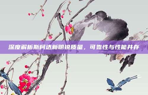 深度解析斯柯达新明锐质量,可靠性与性能并存