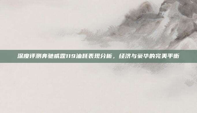 深度评测奔驰威霆119油耗表现分析,经济与豪华的完美平衡