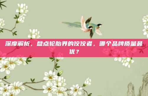 深度解析,盘点轮胎界的佼佼者,哪个品牌质量最优?