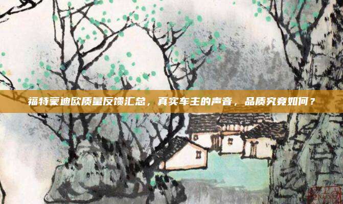 福特蒙迪欧质量反馈汇总,真实车主的声音,品质究竟如何?