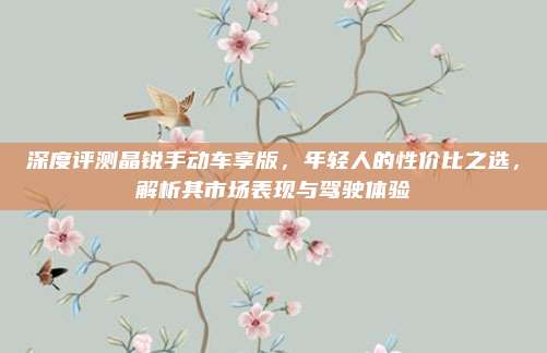 深度评测晶锐手动车享版,年轻人的性价比之选,解析其市场表现与驾驶体验