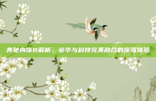奔驰内饰B解析,豪华与科技完美融合的座驾体验