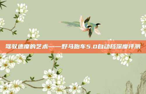 驾驭速度的艺术——野马跑车5.0自动挡深度评测