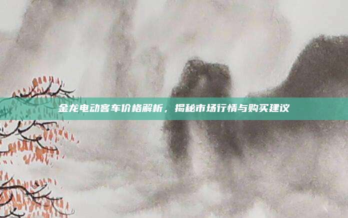 金龙电动客车价格解析,揭秘市场行情与购买建议