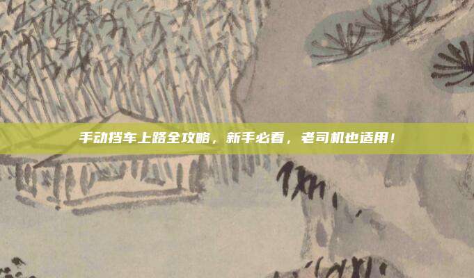 手动挡车上路全攻略，新手必看，老司机也适用！