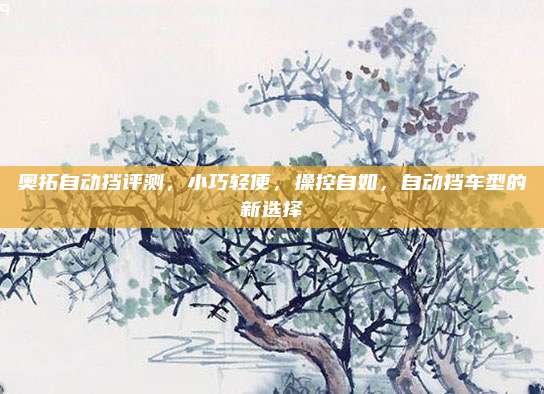 奥拓自动挡评测,小巧轻便,操控自如,自动挡车型的新选择