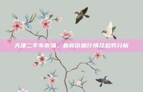 天津二手车市场,最新价格行情及趋势分析