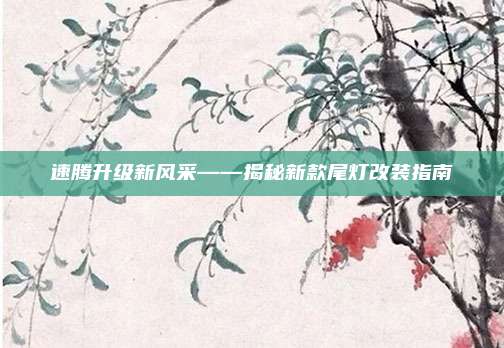速腾升级新风采——揭秘新款尾灯改装指南
