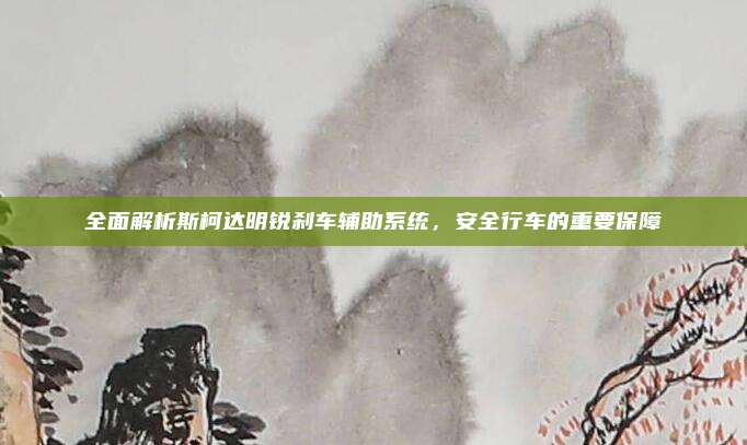 全面解析斯柯达明锐刹车辅助系统,安全行车的重要保障