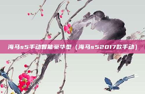 海马s5手动智能豪华型（海马s52017款手动）