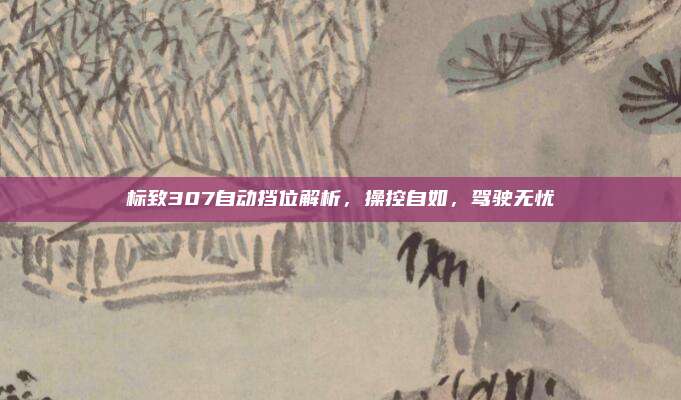 标致307自动挡位解析,操控自如,驾驶无忧