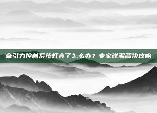 牵引力控制系统灯亮了怎么办?专家详解解决攻略