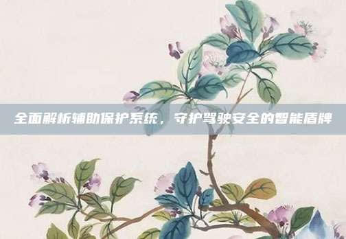 全面解析辅助保护系统,守护驾驶安全的智能盾牌