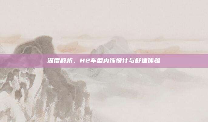 深度解析,H2车型内饰设计与舒适体验