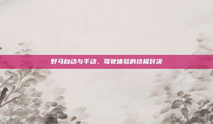 野马自动与手动，驾驶体验的终极对决